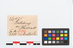 Etikett zu Perlenkette (NHMW-PRAE-026405)